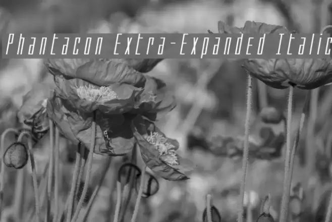 Phantacon Extra-Expanded Italic Font examples