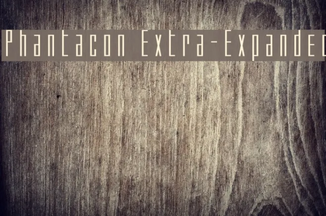 Phantacon Extra-Expanded Example 1