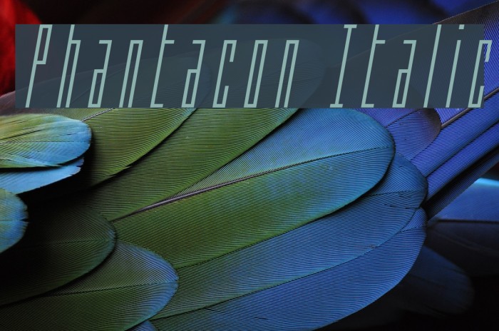 Phantacon Italic Example 1