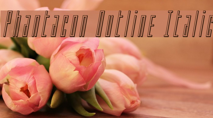 Phantacon Outline Italic Font examples