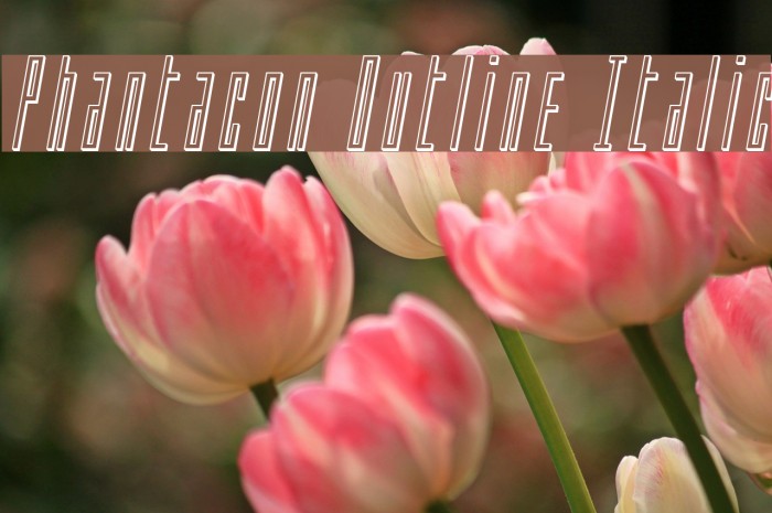 Phantacon Outline Italic Font examples