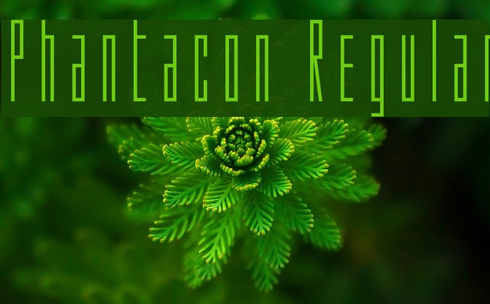 Phantacon Regular Example 3