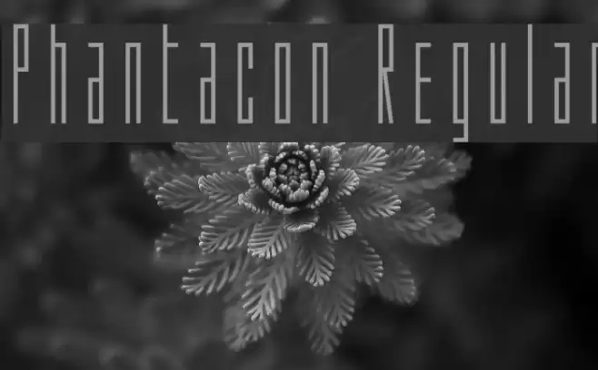 Phantacon Regular Font examples