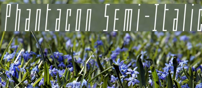 Phantacon Semi-Italic Font examples