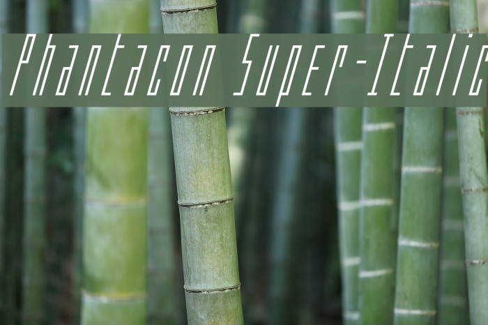Phantacon Super-Italic Example 2