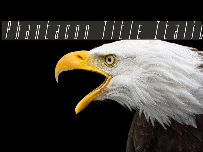 Phantacon Title Italic Font examples