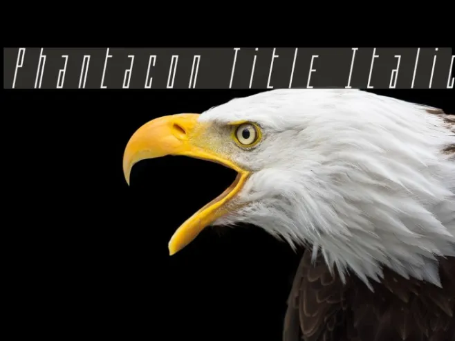 Phantacon Title Italic Example 3