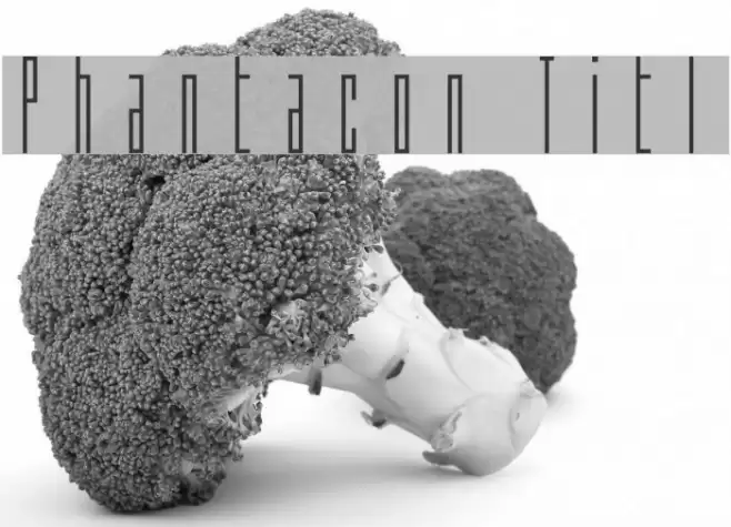 Phantacon Title Font examples