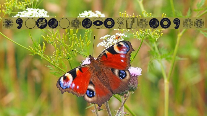 PhantasticSketches Example 2