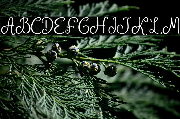 Phanthom Twilight Example 2