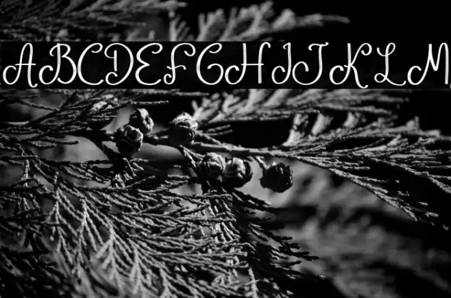 Phanthom Twilight फ़ॉन्ट examples