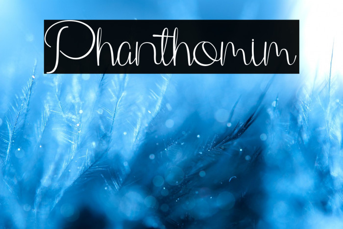 Phanthomim Example 1