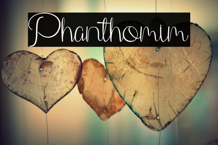 Phanthomim Example 2