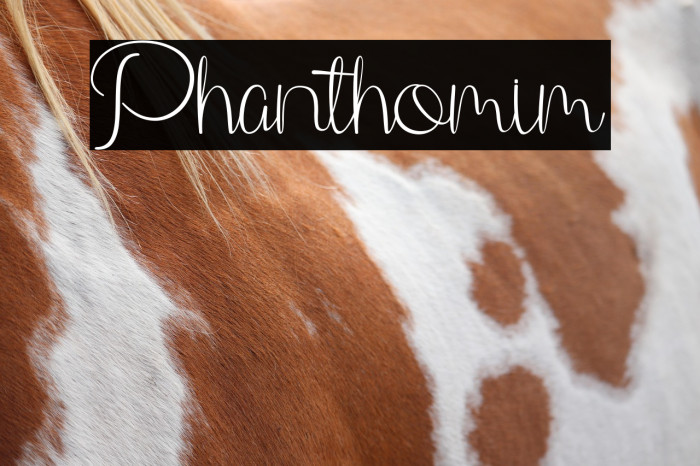 Phanthomim Example 3