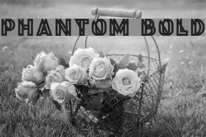 Phantom Bold Font examples