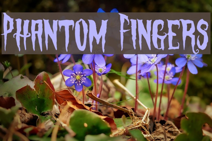 Phantom Fingers Font examples