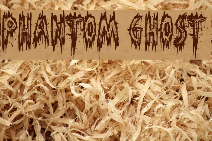 Phantom Ghost Font examples