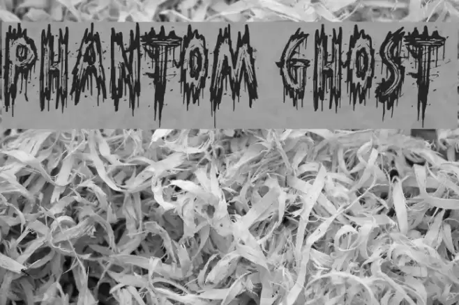 Phantom Ghost خط examples