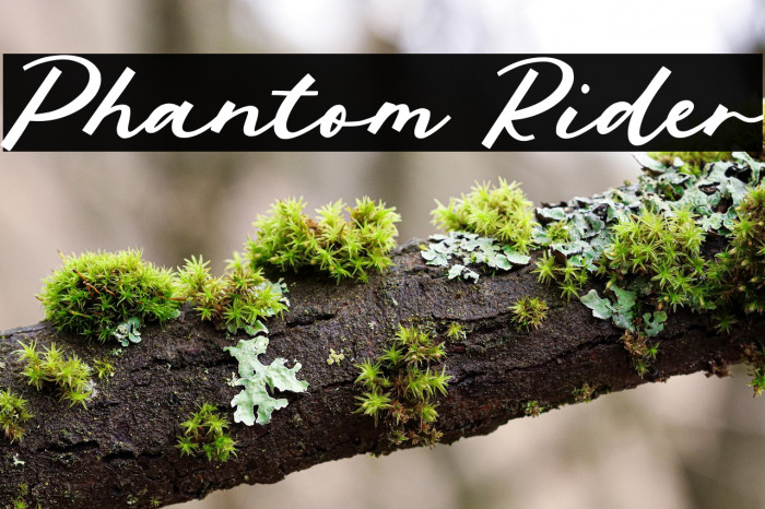 Phantom Rider Example 3