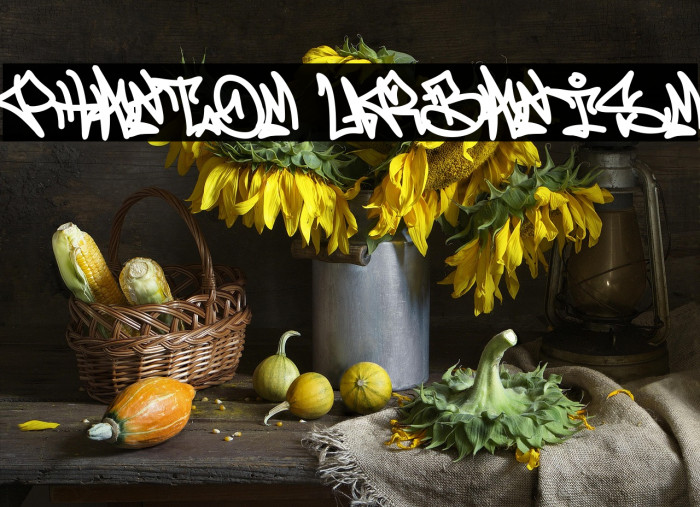 Phantom Urbanism Example 3