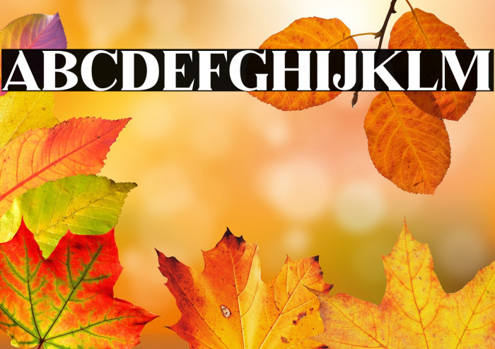 PhantomShrine-Regular Example 3