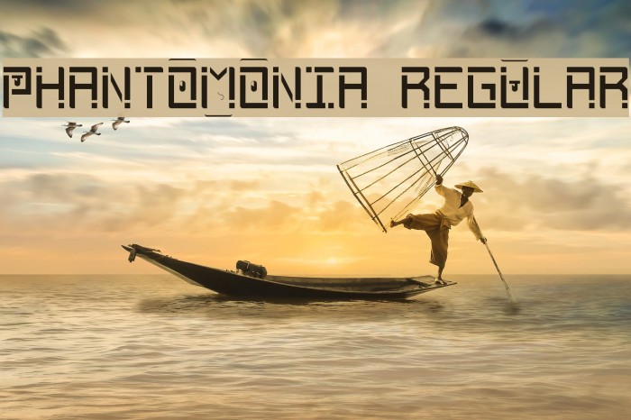Phantomonia Regular Example 2