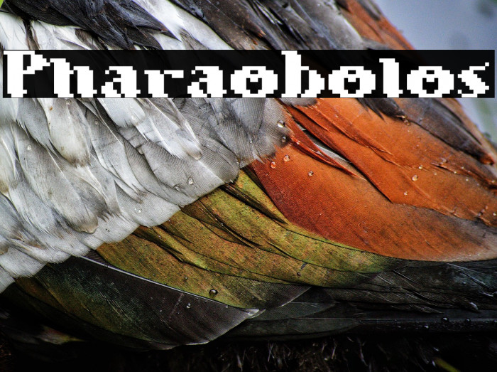 Pharaobolos Example 2