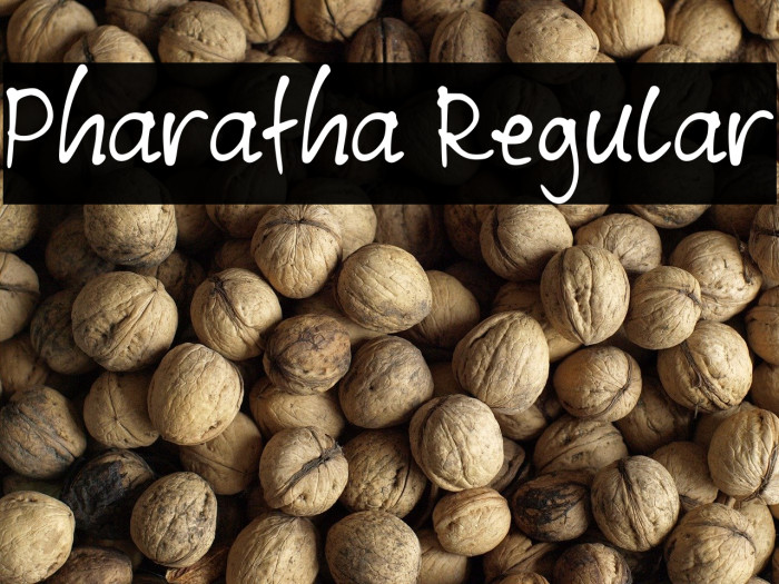 Pharatha Regular Example 2