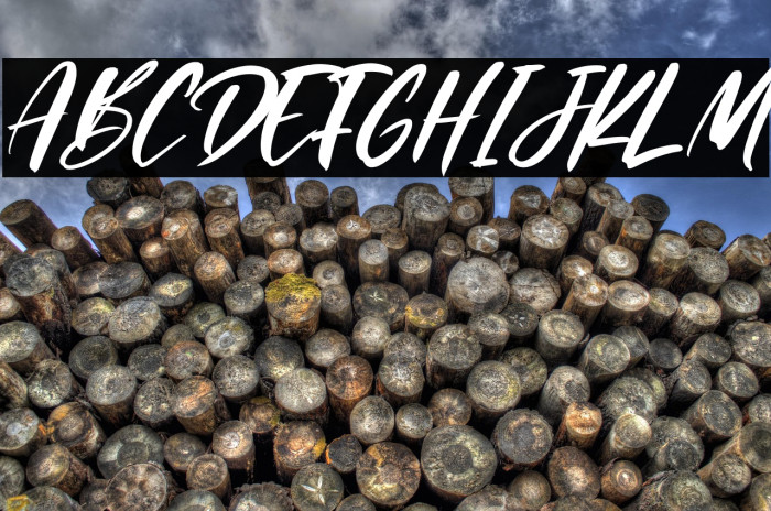 Pharllos Italic Example 1