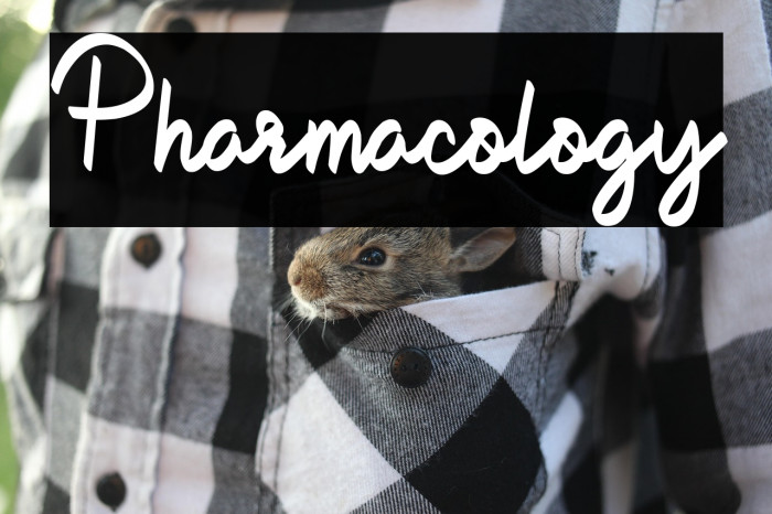 Pharmacology Example 2