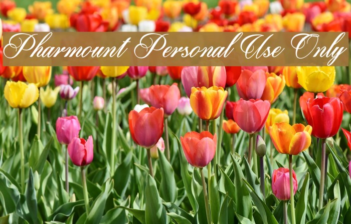 Pharmount Personal Use Only Font examples