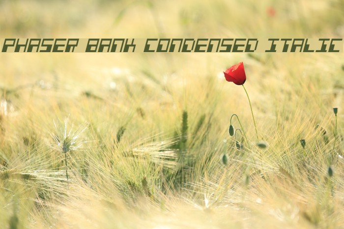 Phaser Bank Condensed Italic Font examples