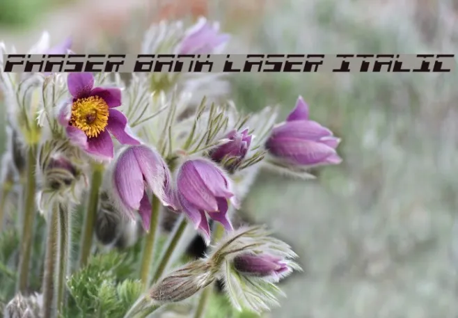 Phaser Bank Laser Italic Example 1