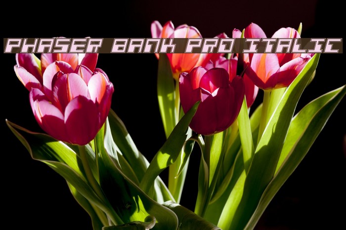 Phaser Bank Pro Italic Font examples