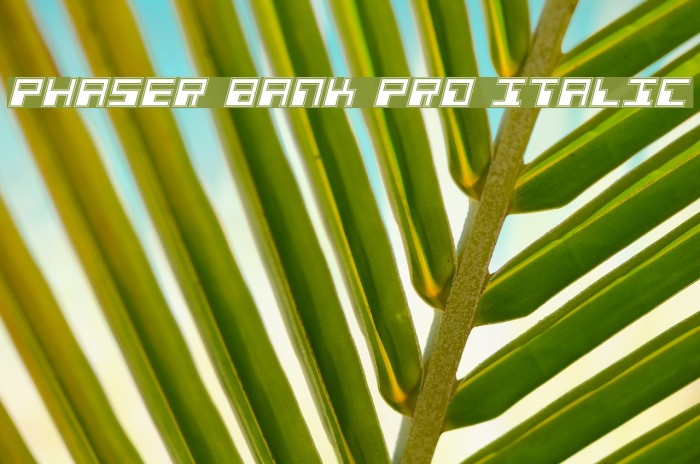 Phaser Bank Pro Italic Font examples