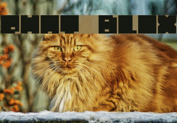 Phat Blox Font examples