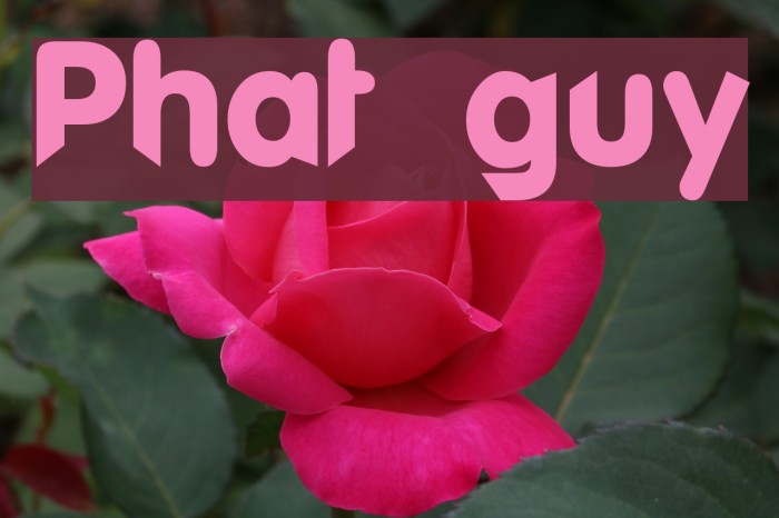 Phat guy Шрифта examples