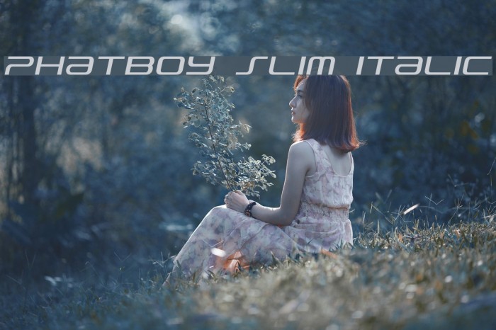 PhatBoy Slim Italic Font examples