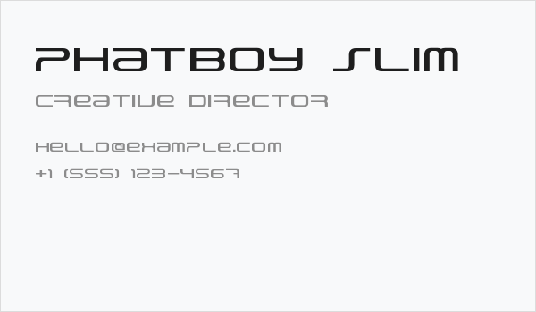 PhatBoy Slim Business Card