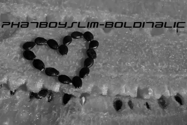 PhatBoySlim-BoldItalic Fonte examples