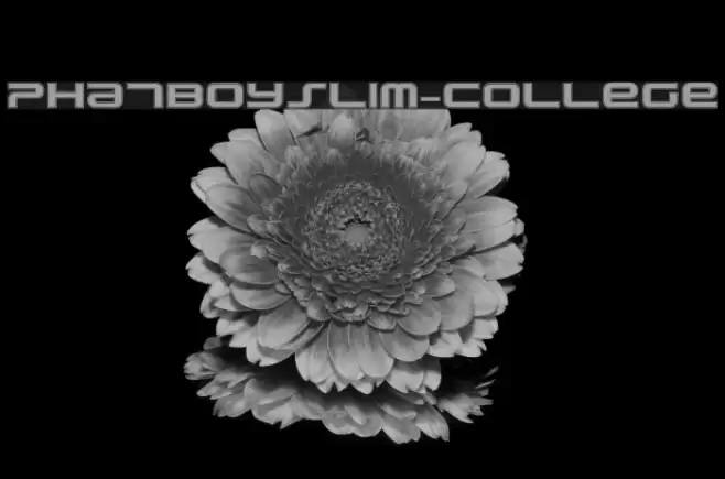 PhatBoySlim-College Font examples