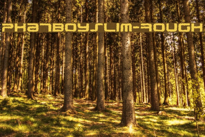 PhatBoySlim-Rough Font examples