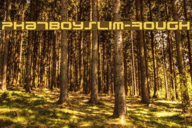 PhatBoySlim-Rough Example 1
