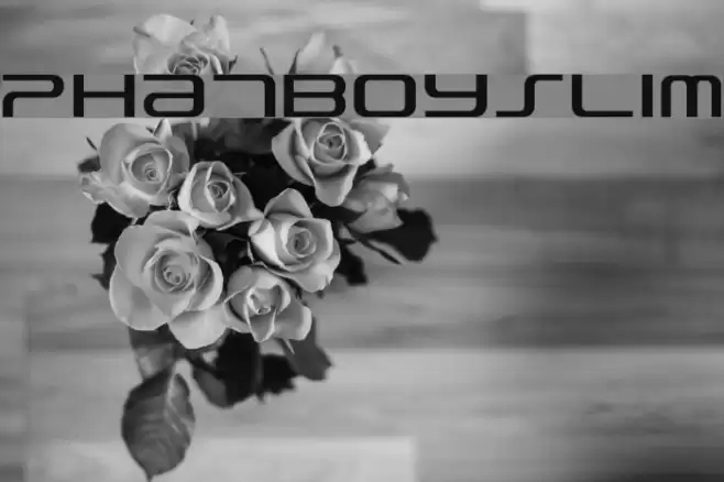 PhatBoySlim Font examples