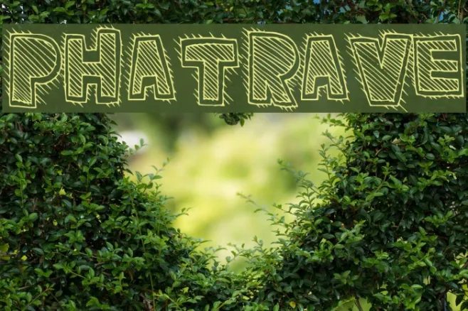 PhatRave Example 1