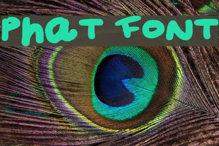 Phat Font examples