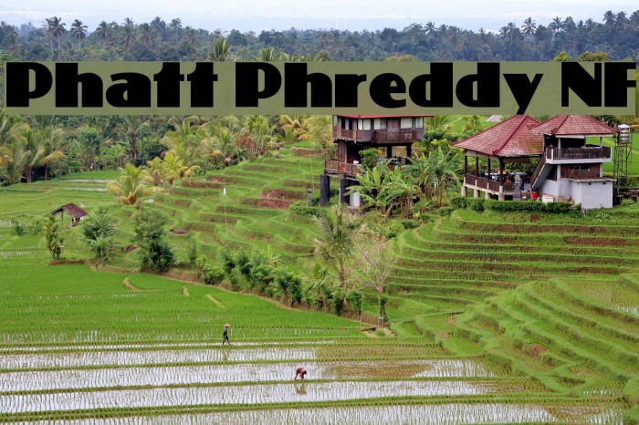 Phatt Phreddy NF Font examples