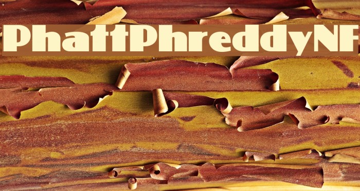 PhattPhreddyNF Example 1