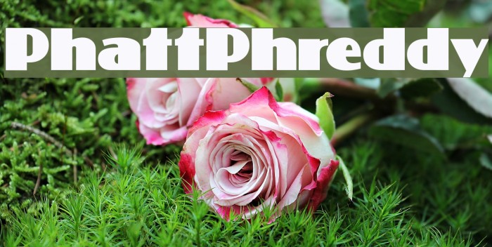PhattPhreddy フォント examples
