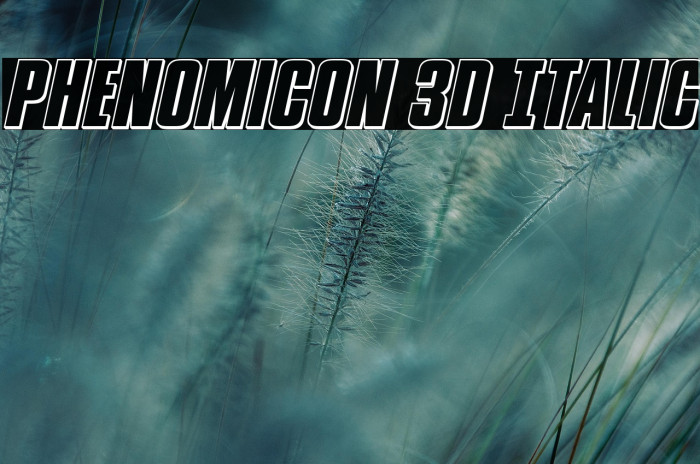 Phenomicon 3D Italic Example 1